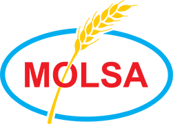 Logo 14